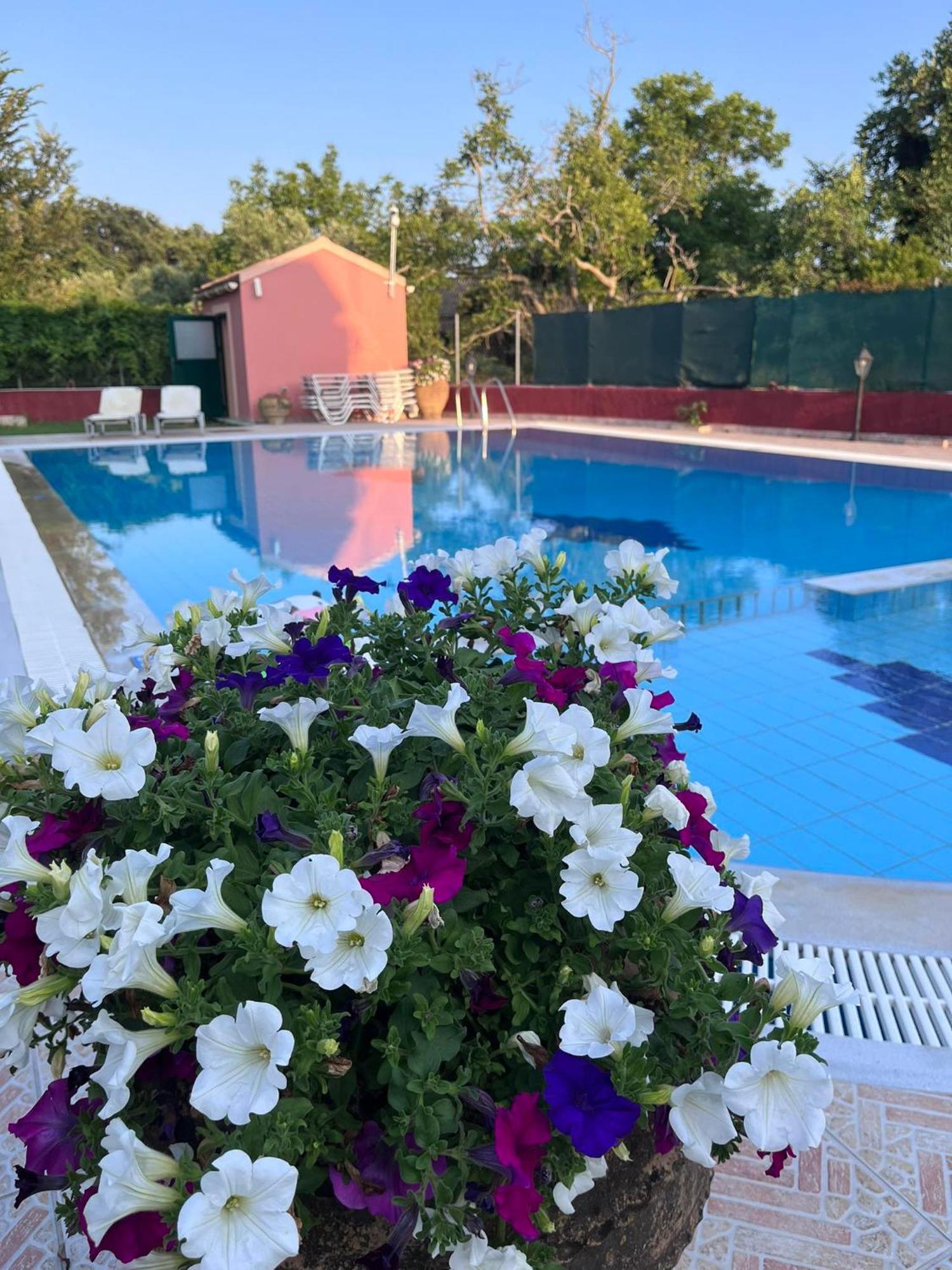 Gregory-Vassilis Apartments Dassia  Zewnętrze zdjęcie